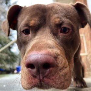 Meet your Posher, Roland